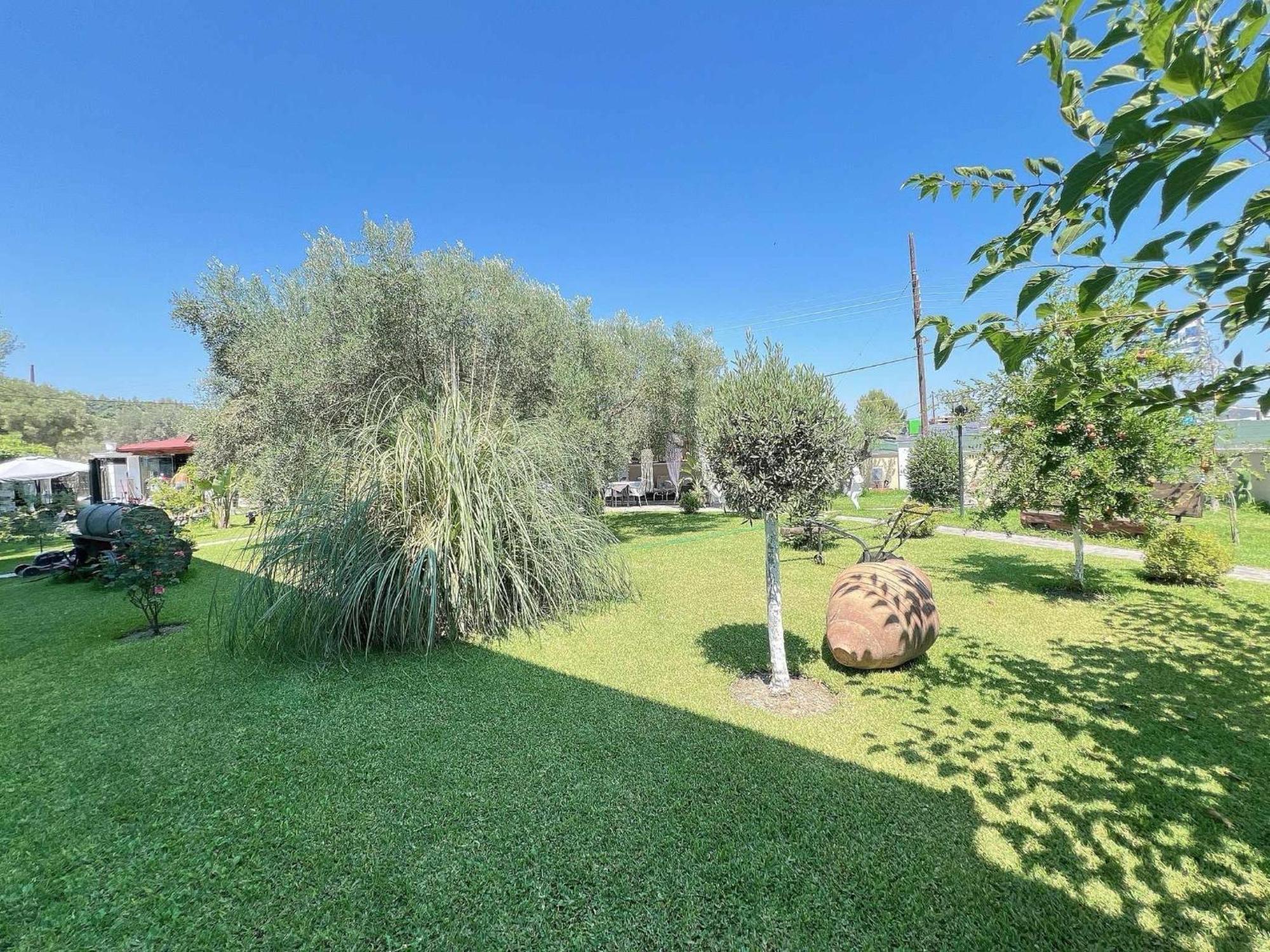 Alexandros Apartament